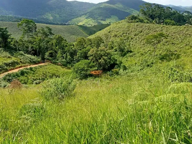 Fazenda com 330000m², à venda, no bairro RURAL em Floresta Azul