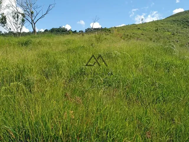 Fazenda com 330000m², à venda, no bairro RURAL em Floresta Azul
