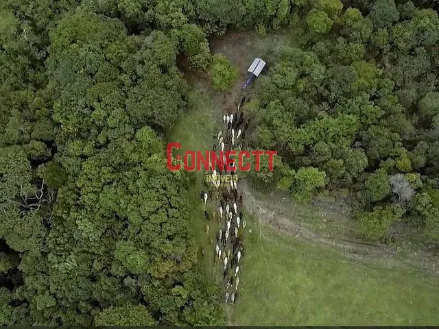 Fazenda com 12380000m² 1 quarto e 1 banheiro, à venda, no bairro Zona Rural em Pimenta