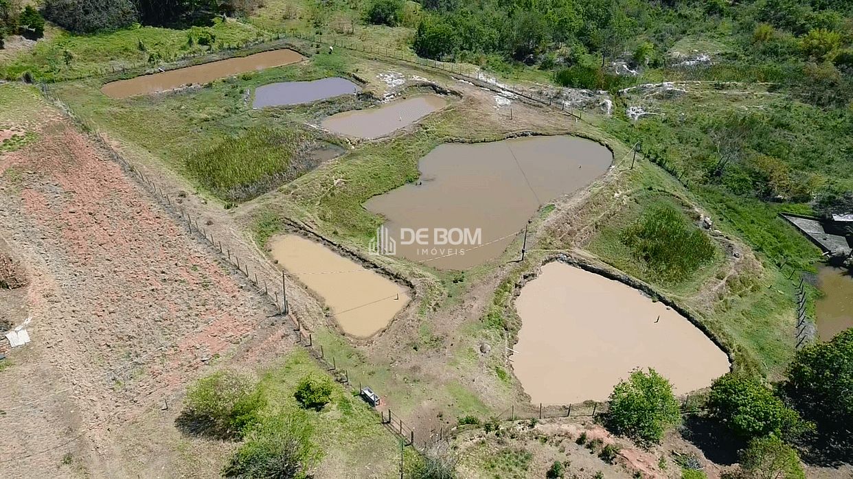 Fazenda, 21 hectares - Foto 4
