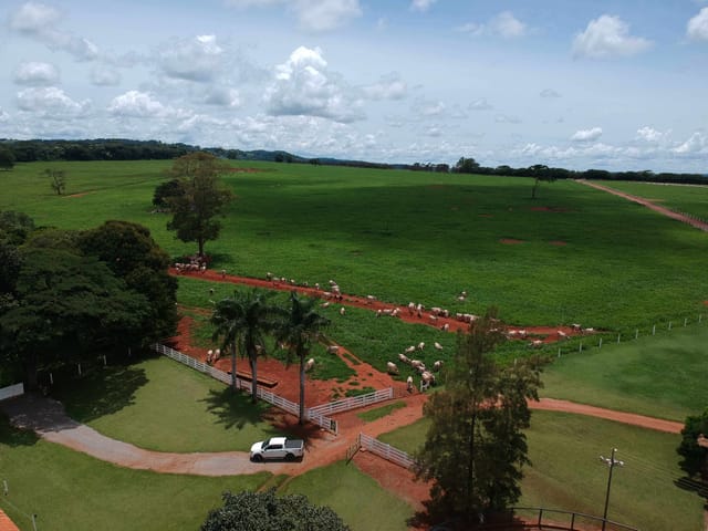 Fazenda com 350m² 6 quartos e 3 banheiros, para alugar, no bairro Zona Rural em Caçu