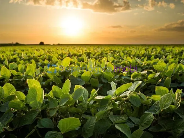 Fazenda com 340000000m², à venda, no bairro Zona Rural em Peixoto de Azevedo
