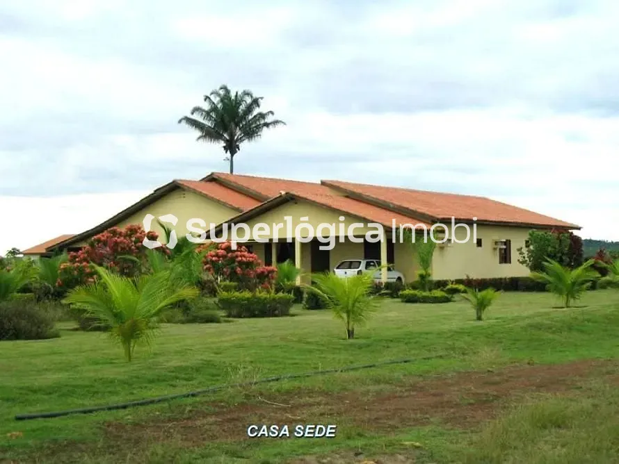 Fazenda, 34000 hectares - Foto 13