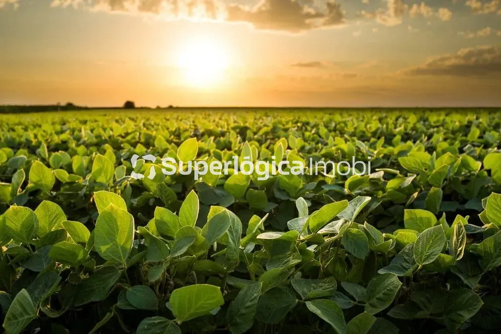 Fazenda, 34000 hectares - Foto 1