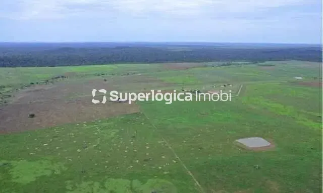 Fazenda, 34000 hectares - Foto 14