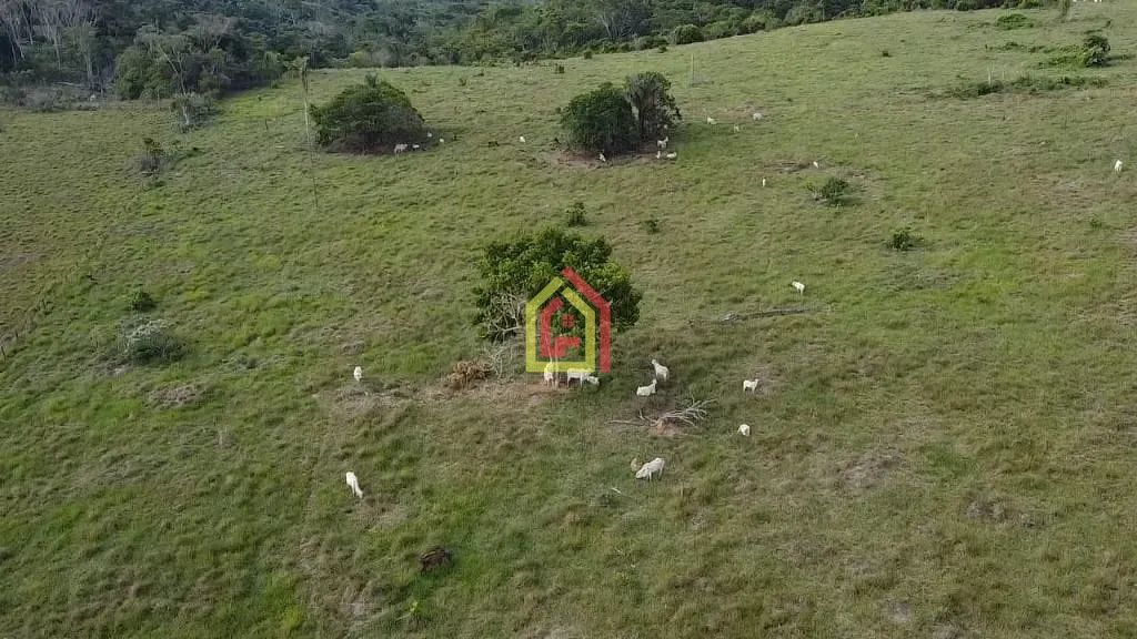 Rural à venda com 15342800m² de terreno no Marabá Pioneira, Marabá (PA) — foto 9 de 13