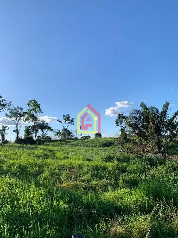 Rural à venda com 15342800m² de terreno no Marabá Pioneira, Marabá (PA) — foto 11 de 13
