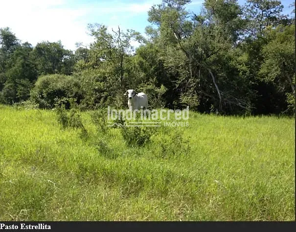 Fazenda, 10 m² - Foto 14