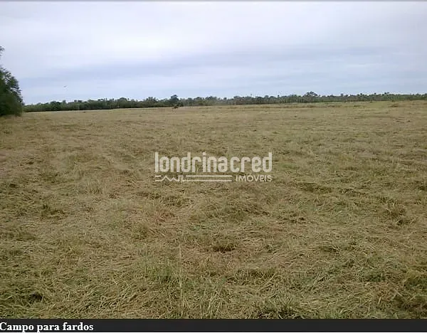 Fazenda, 10 m² - Foto 16