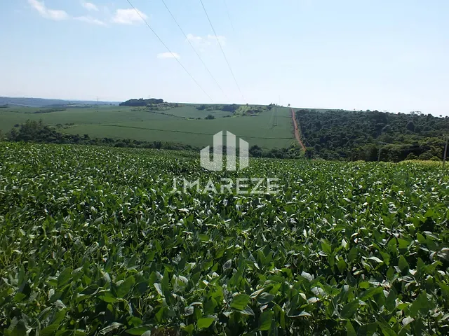 Fazenda com 995m², à venda, no bairro DISTRITO DE SÃO LUIZ em Londrina