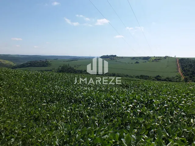 Fazenda com 995m², à venda, no bairro DISTRITO DE SÃO LUIZ em Londrina