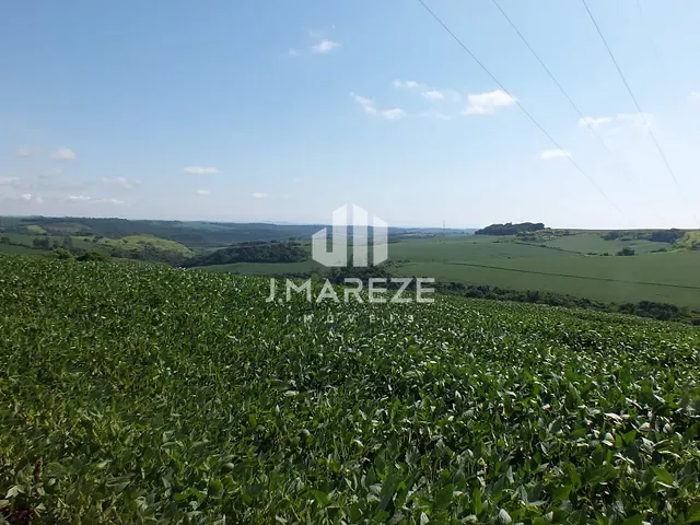 Fazenda com 995m², à venda, no bairro DISTRITO DE SÃO LUIZ em Londrina