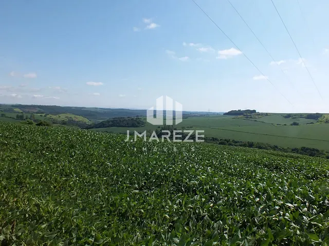 Fazenda com 995m², à venda, no bairro DISTRITO DE SÃO LUIZ em Londrina