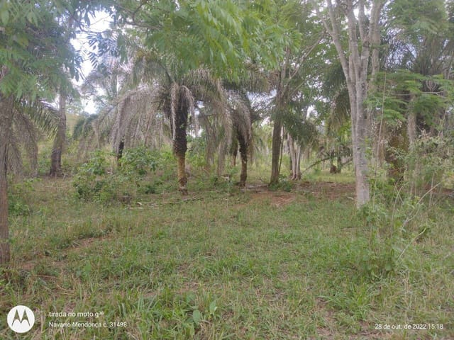 Fazenda com 1839200m² 3 quartos e 2 banheiros, à venda, no bairro zona rural em Ipameri