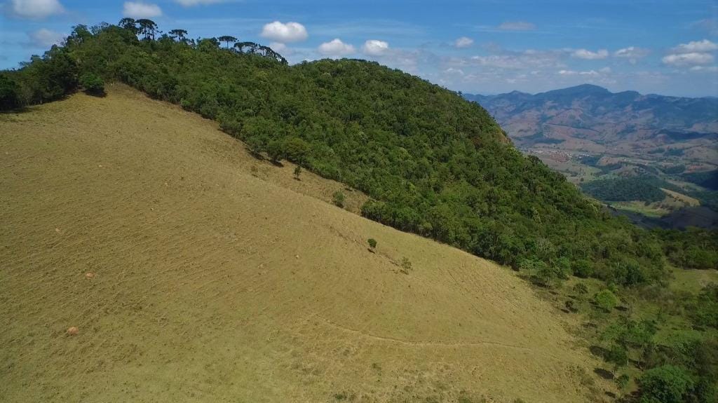 Rural / Chácara no Pouso Frio — foto 20