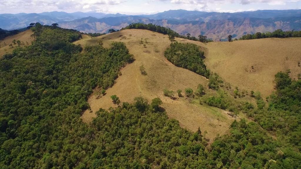 Rural / Chácara no Pouso Frio — foto 28