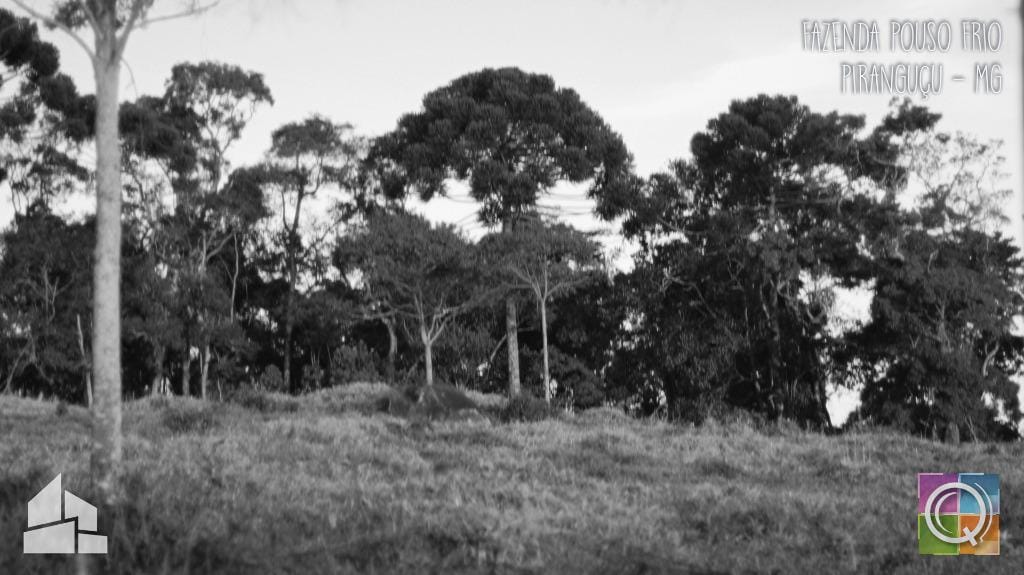 Rural / Chácara no Pouso Frio — foto 11