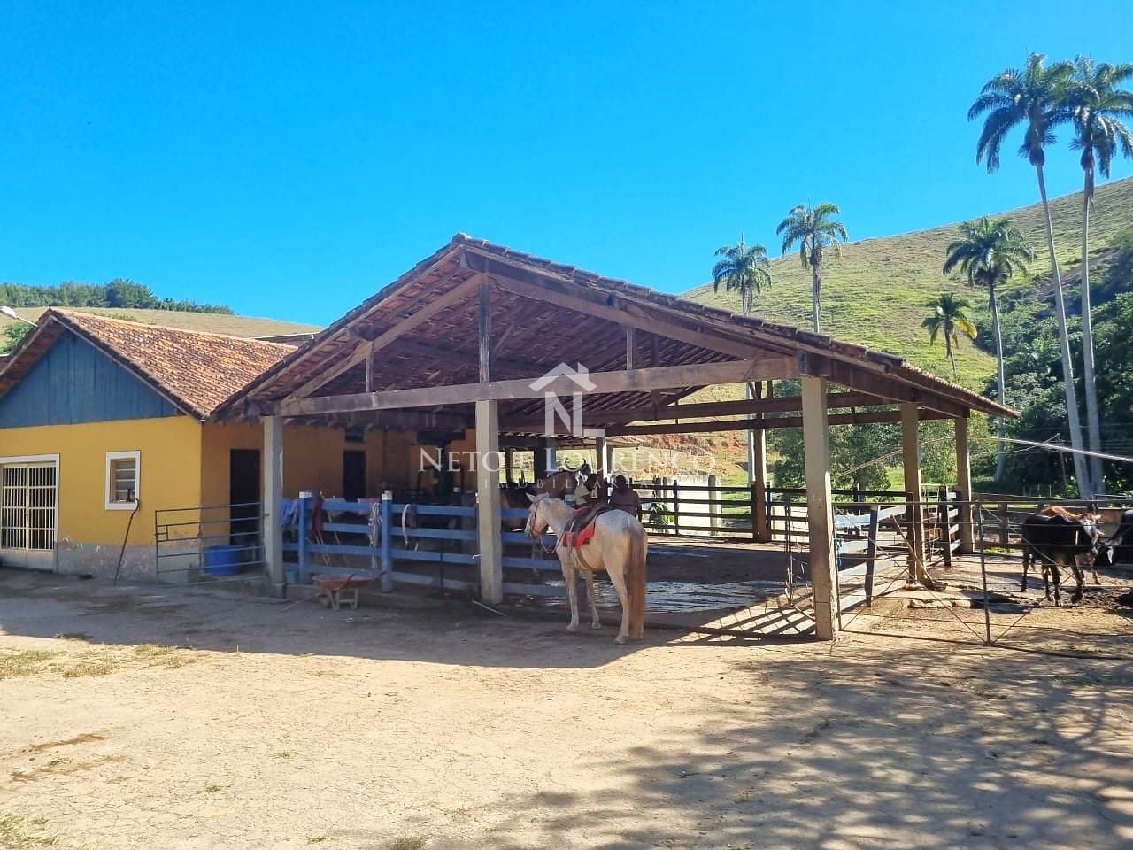 Fazenda-Sítio-Chácara, 380 hectares - Foto 11