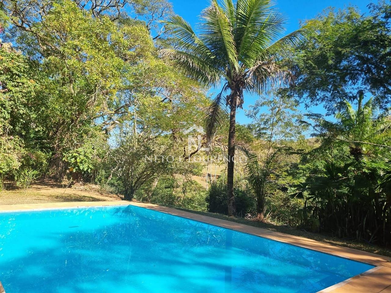 Fazenda-Sítio-Chácara, 380 hectares - Foto 6