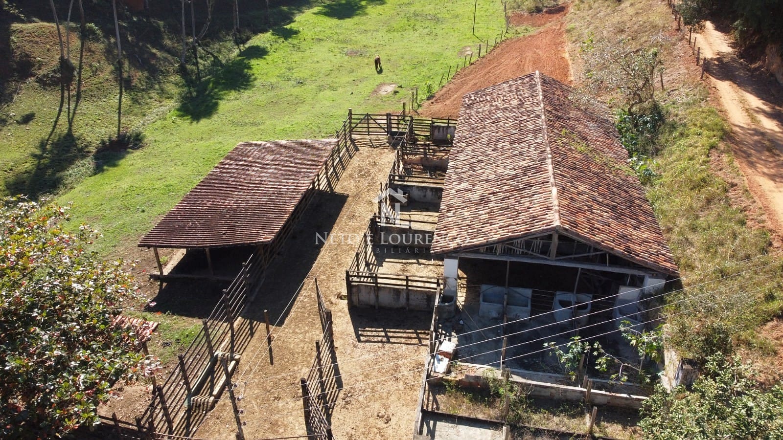 Fazenda-Sítio-Chácara, 380 hectares - Foto 12