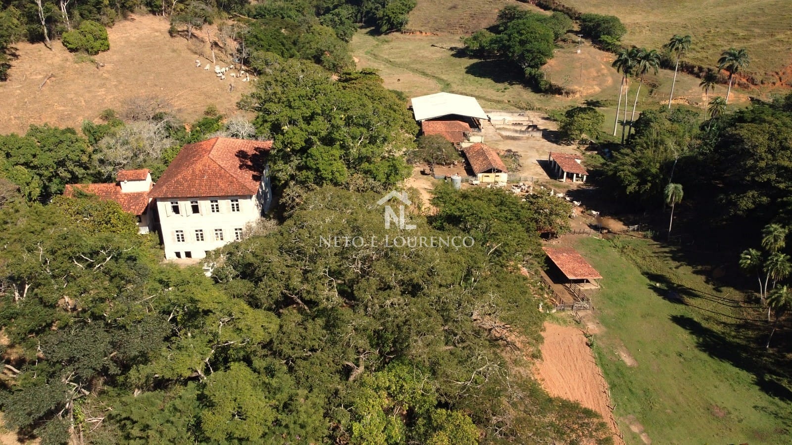Fazenda-Sítio-Chácara, 380 hectares - Foto 9