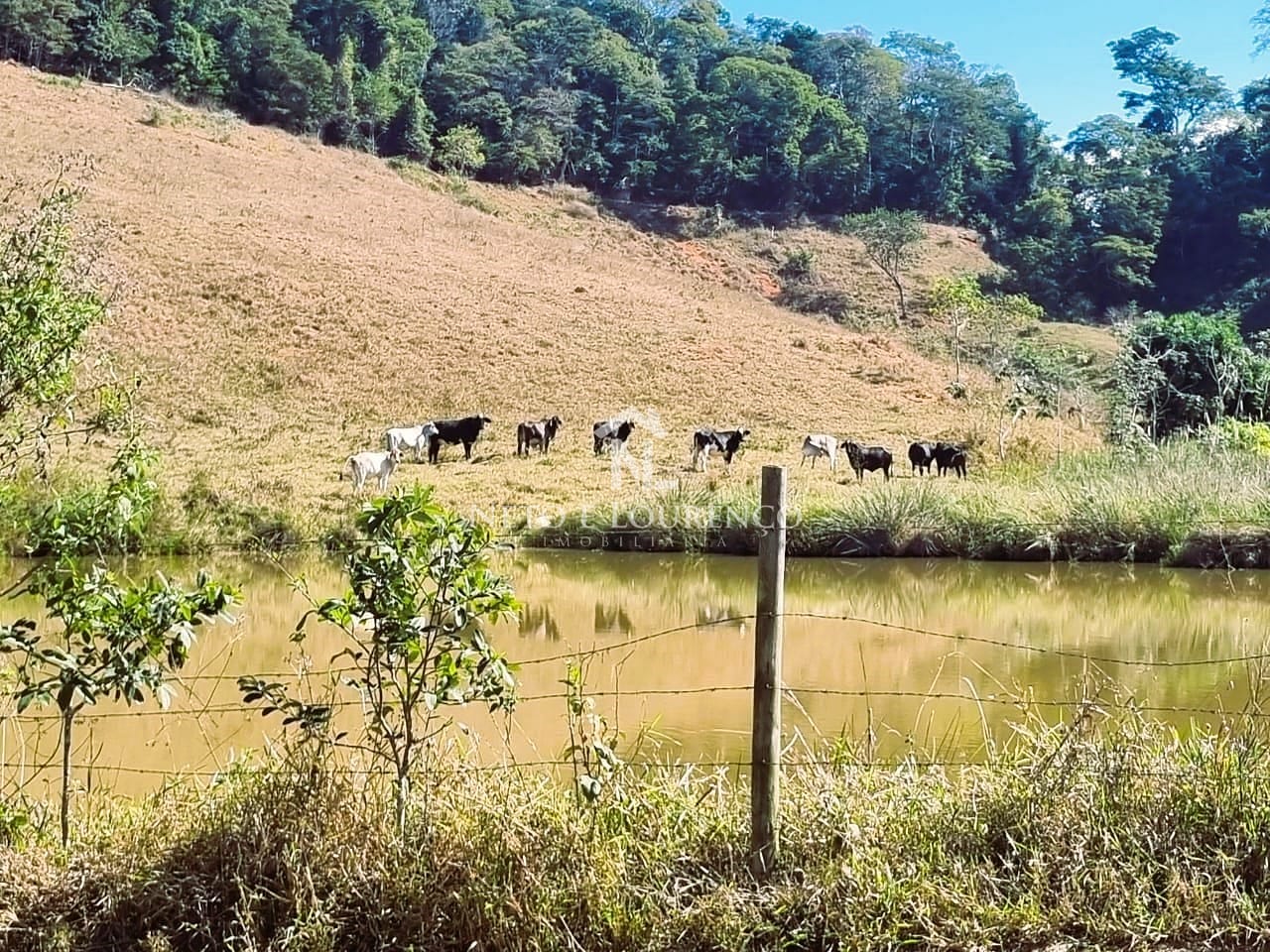 Fazenda-Sítio-Chácara, 380 hectares - Foto 19