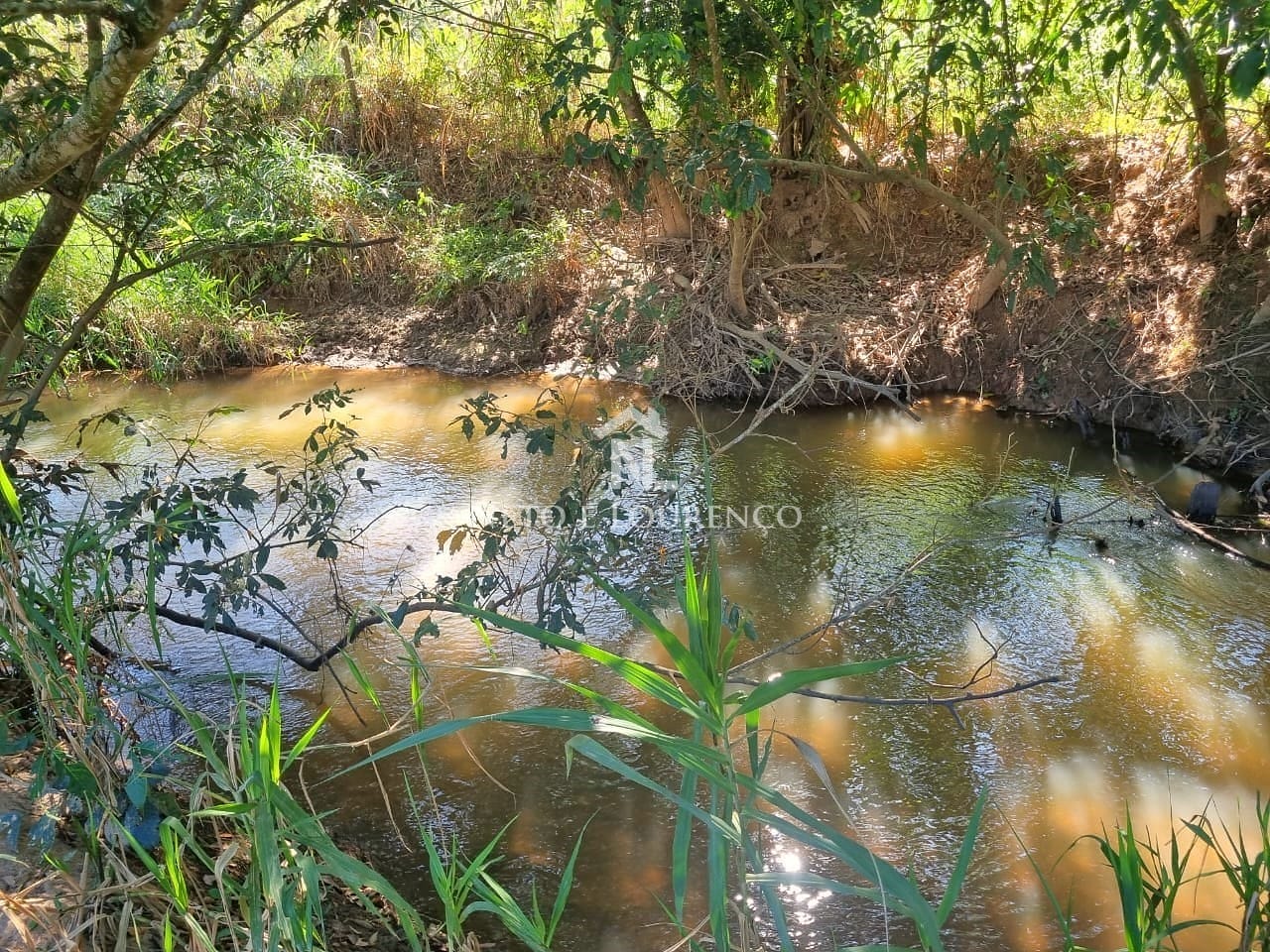 Fazenda-Sítio-Chácara, 380 hectares - Foto 23