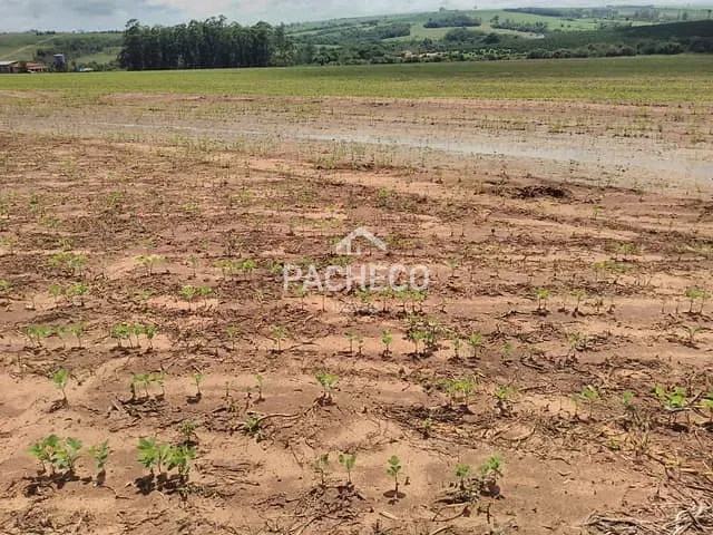 Fazenda com 726000m² 3 quartos e 2 banheiros, à venda, no bairro São João em Casa Branca