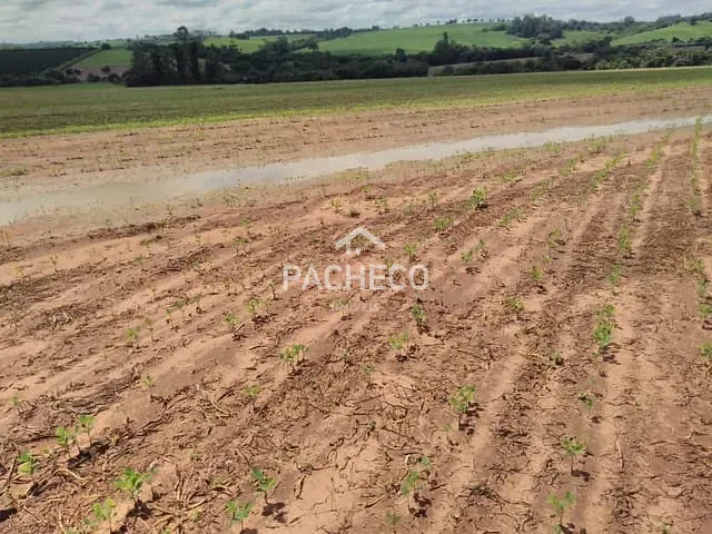 Fazenda com 726000m² 3 quartos e 2 banheiros, à venda, no bairro São João em Casa Branca