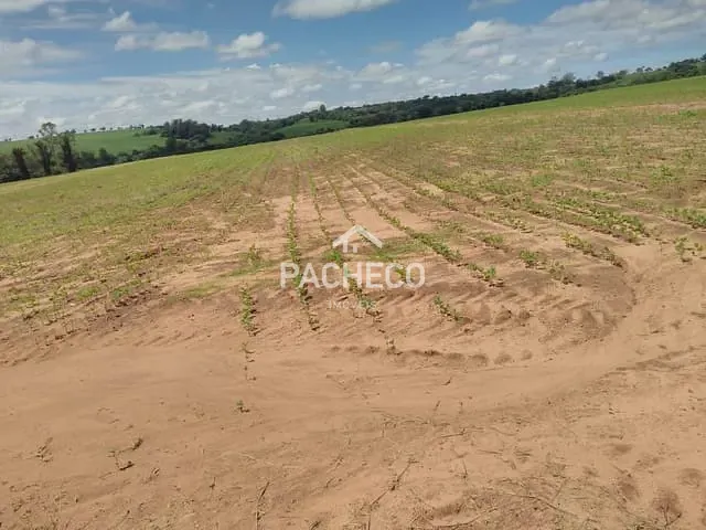 Fazenda com 726000m² 3 quartos e 2 banheiros, à venda, no bairro São João em Casa Branca