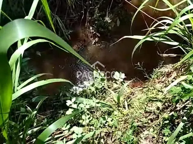 Fazenda com 726000m² 3 quartos e 2 banheiros, à venda, no bairro São João em Casa Branca