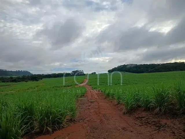 Fazenda com 193m² 7 quartos e 5 banheiros, à venda, no bairro Área Rural de Guarapiranga em Ribeirão Bonito