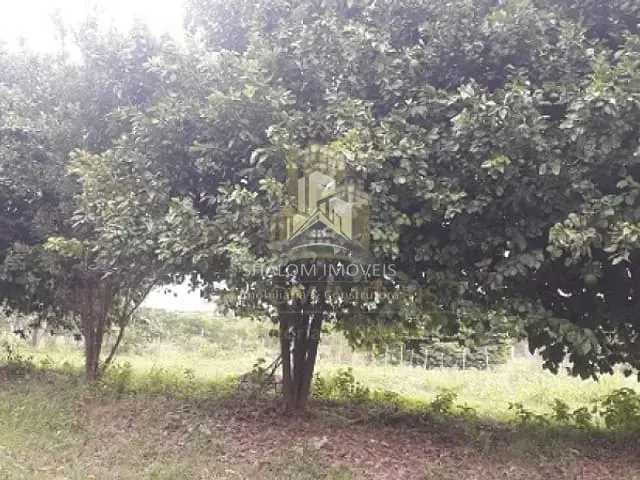 Fazenda 3 quartos e 1 banheiro, à venda, no bairro Inimutaba em Inimutaba