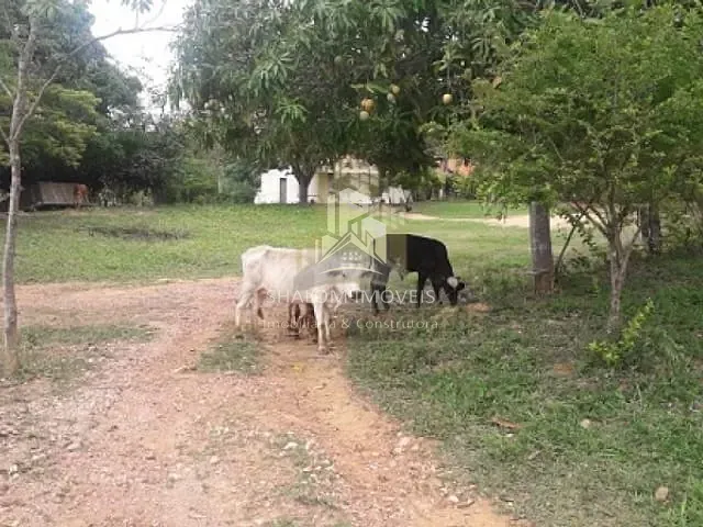 Fazenda 3 quartos e 1 banheiro, à venda, no bairro Inimutaba em Inimutaba