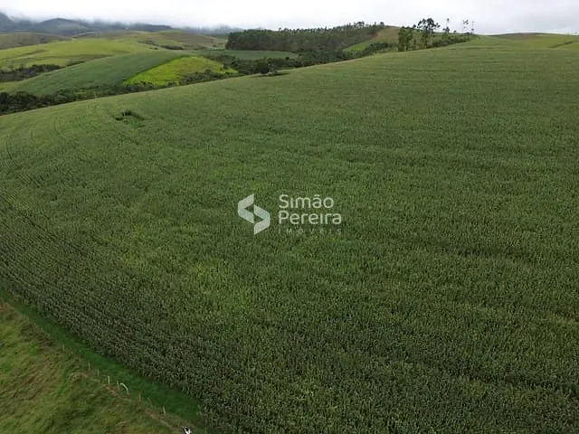 Fazenda à venda, no bairro Zona Rural em Santa Rita do Ibitipoca
