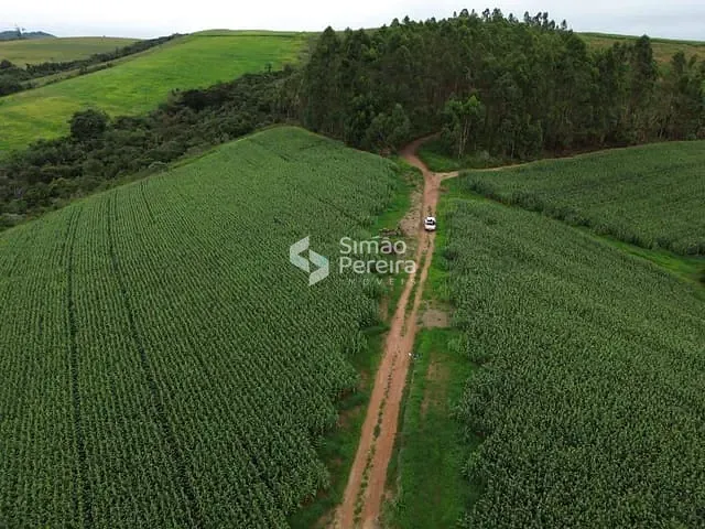 Fazenda à venda, no bairro Zona Rural em Santa Rita do Ibitipoca
