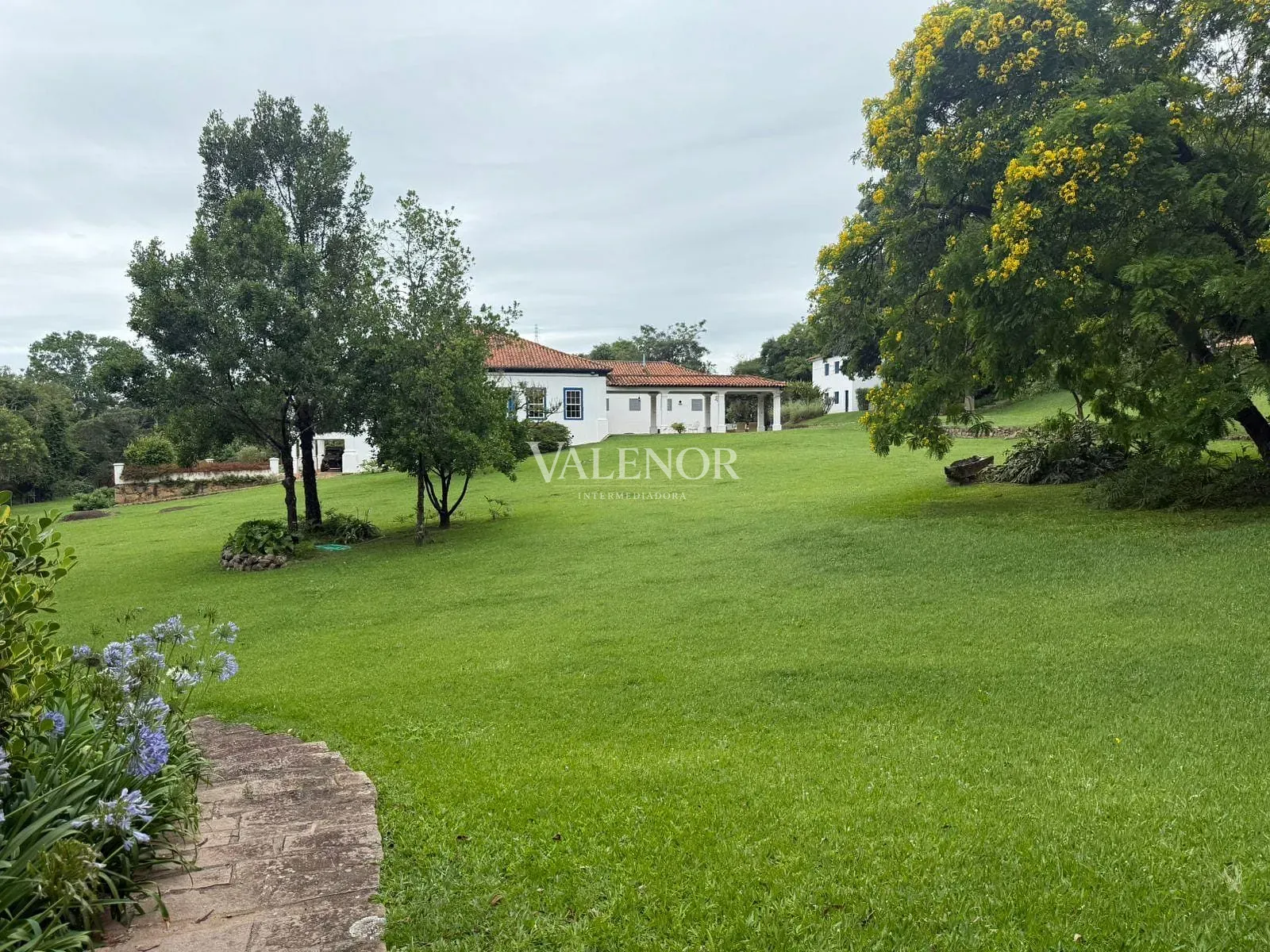 Fazenda, 217 hectares - Foto 1