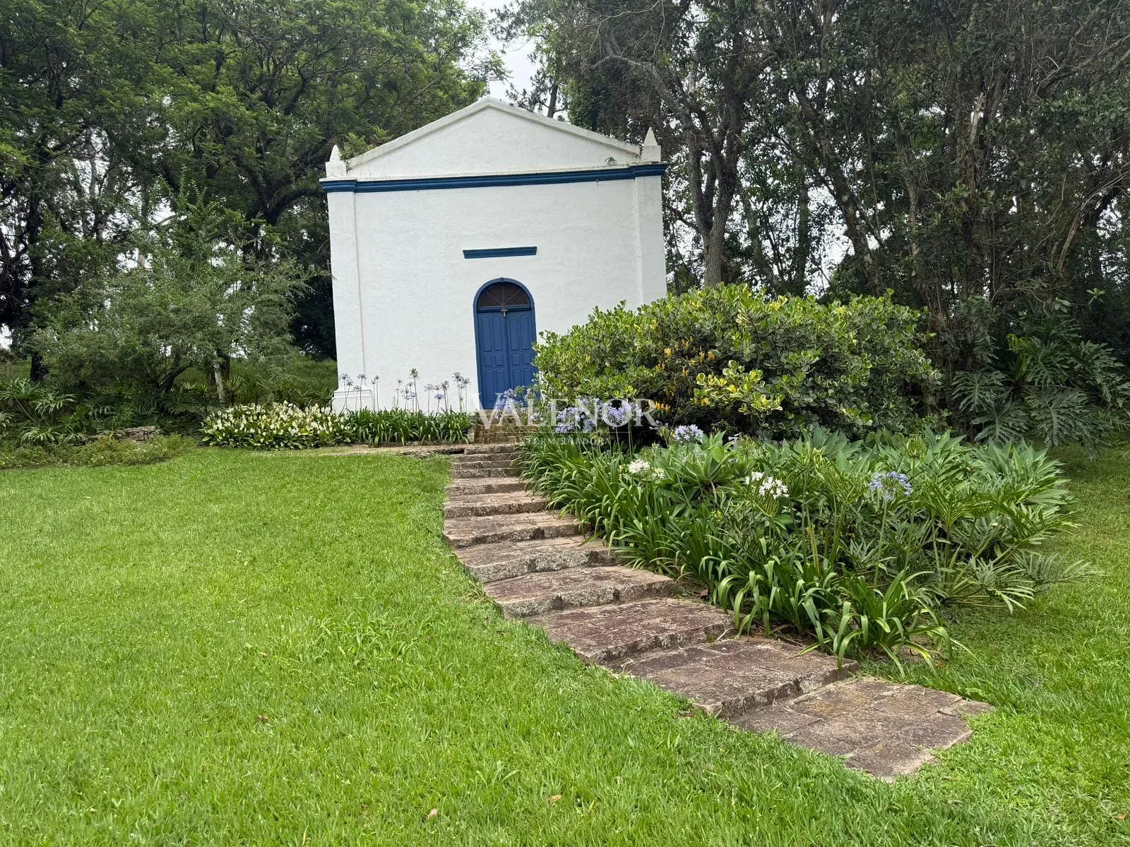 Fazenda, 217 hectares - Foto 14