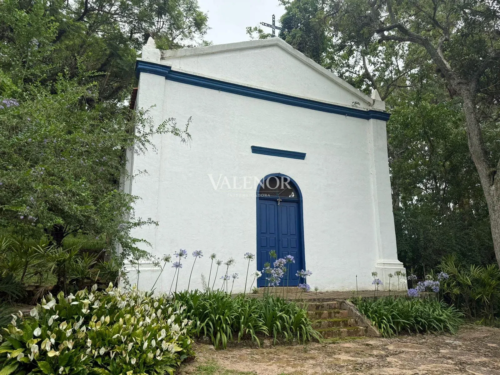 Fazenda, 217 hectares - Foto 13