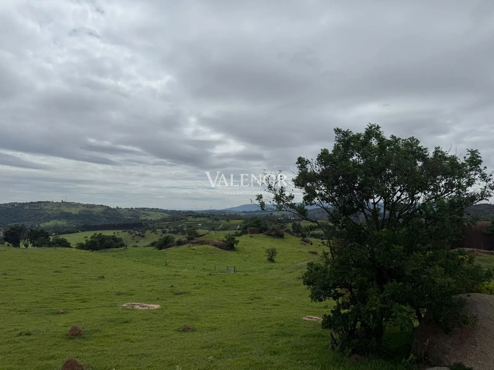 Fazenda, 217 hectares - Foto 6