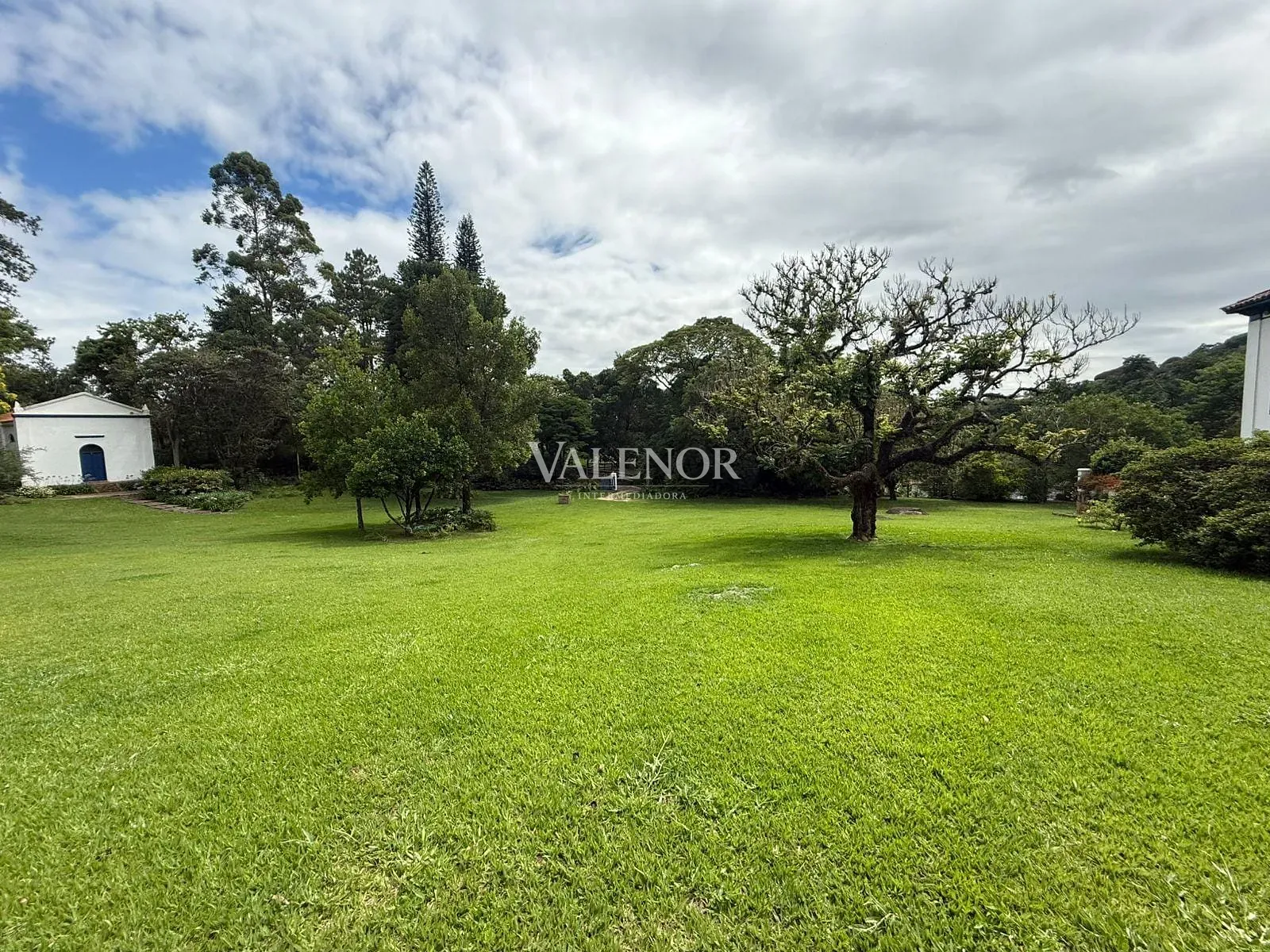Fazenda, 217 hectares - Foto 8