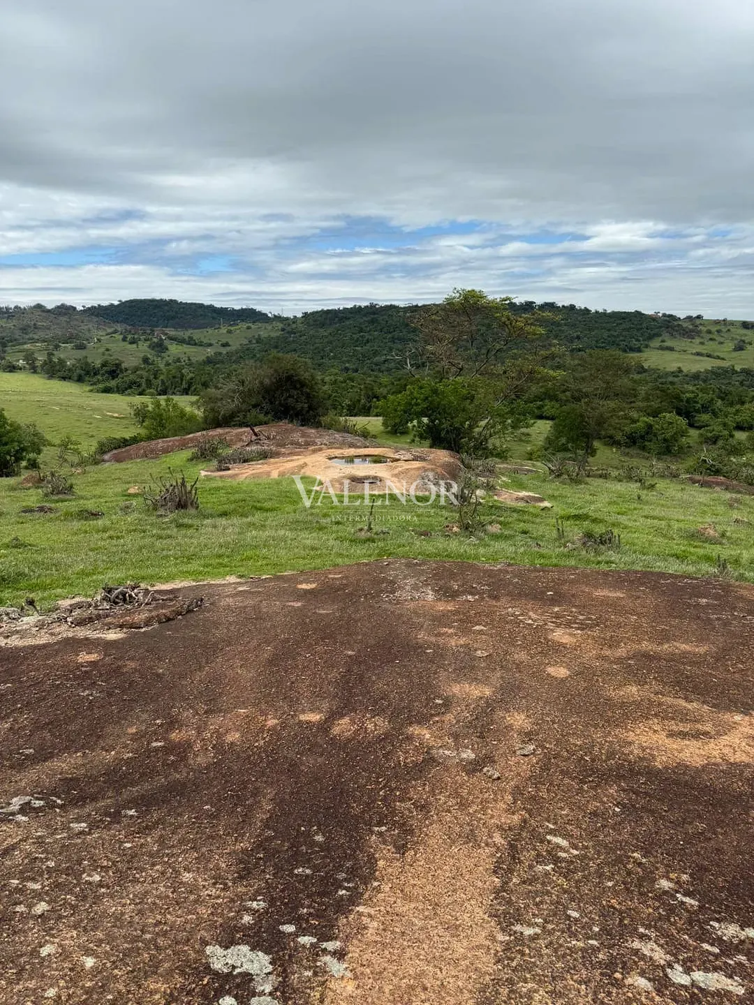 Fazenda, 217 hectares - Foto 12