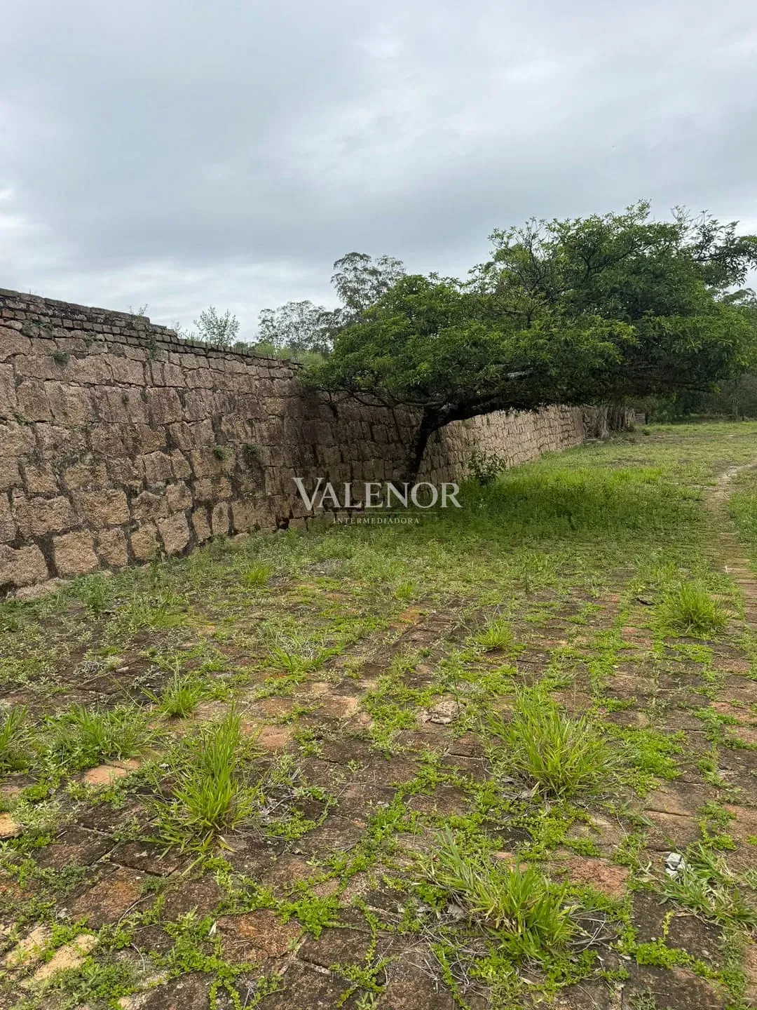 Fazenda, 217 hectares - Foto 25