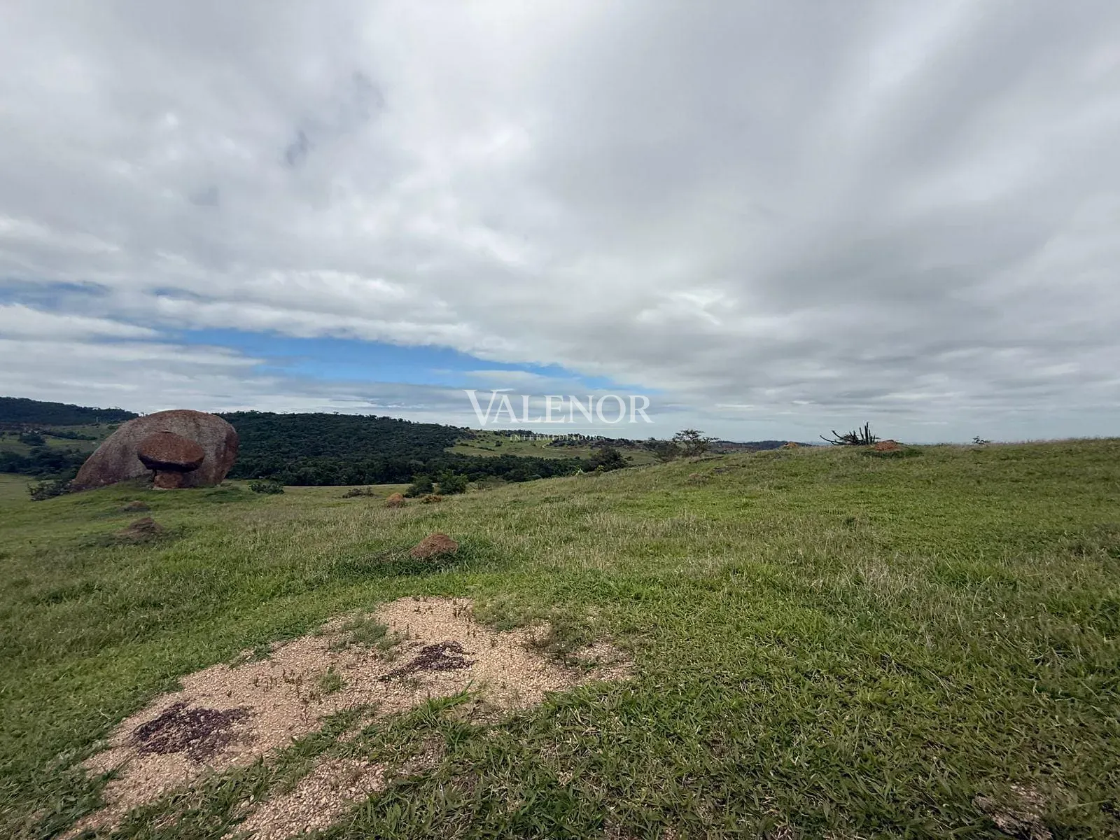 Fazenda, 217 hectares - Foto 26