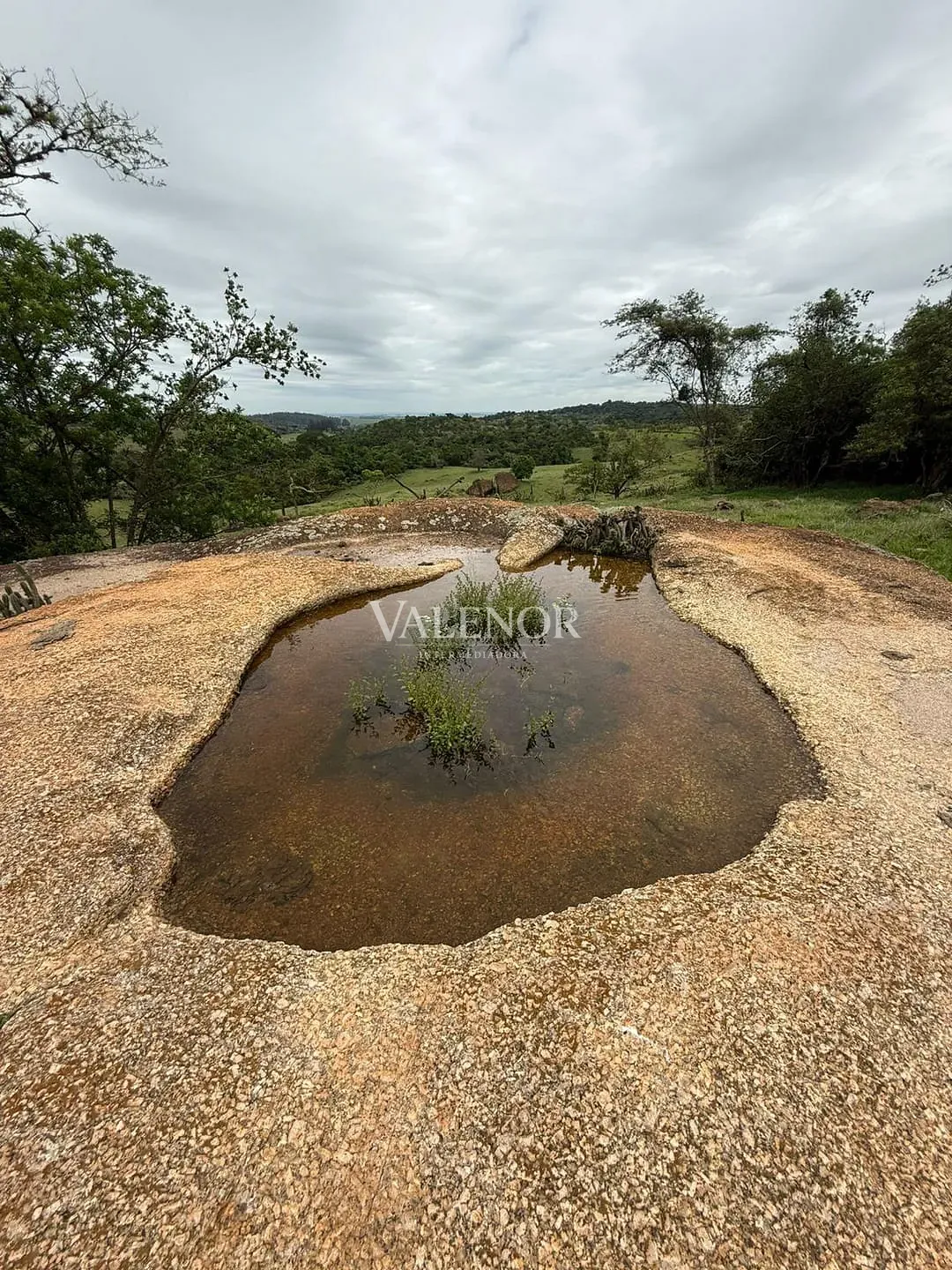 Fazenda, 217 hectares - Foto 11