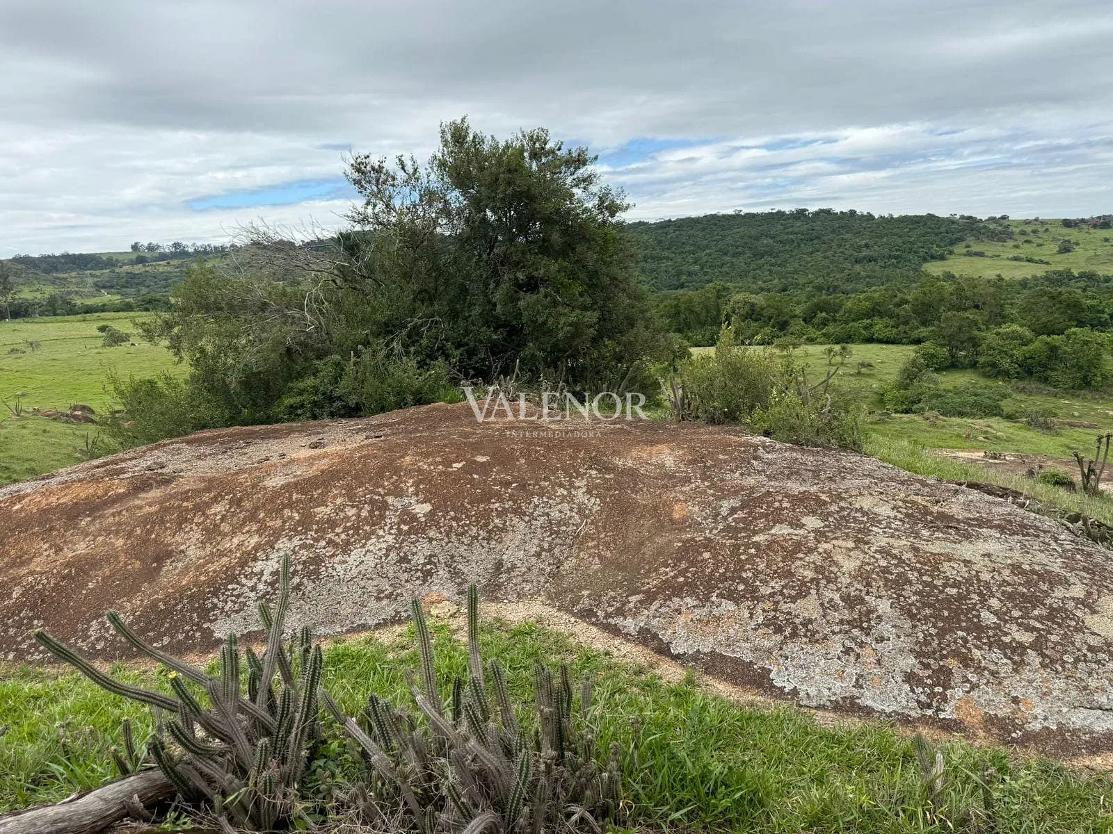 Fazenda, 217 hectares - Foto 10