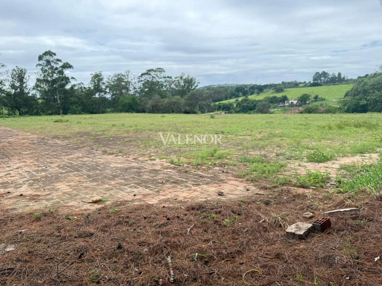 Fazenda, 217 hectares - Foto 7