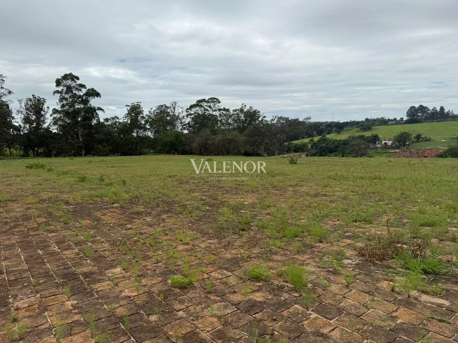Fazenda, 217 hectares - Foto 27