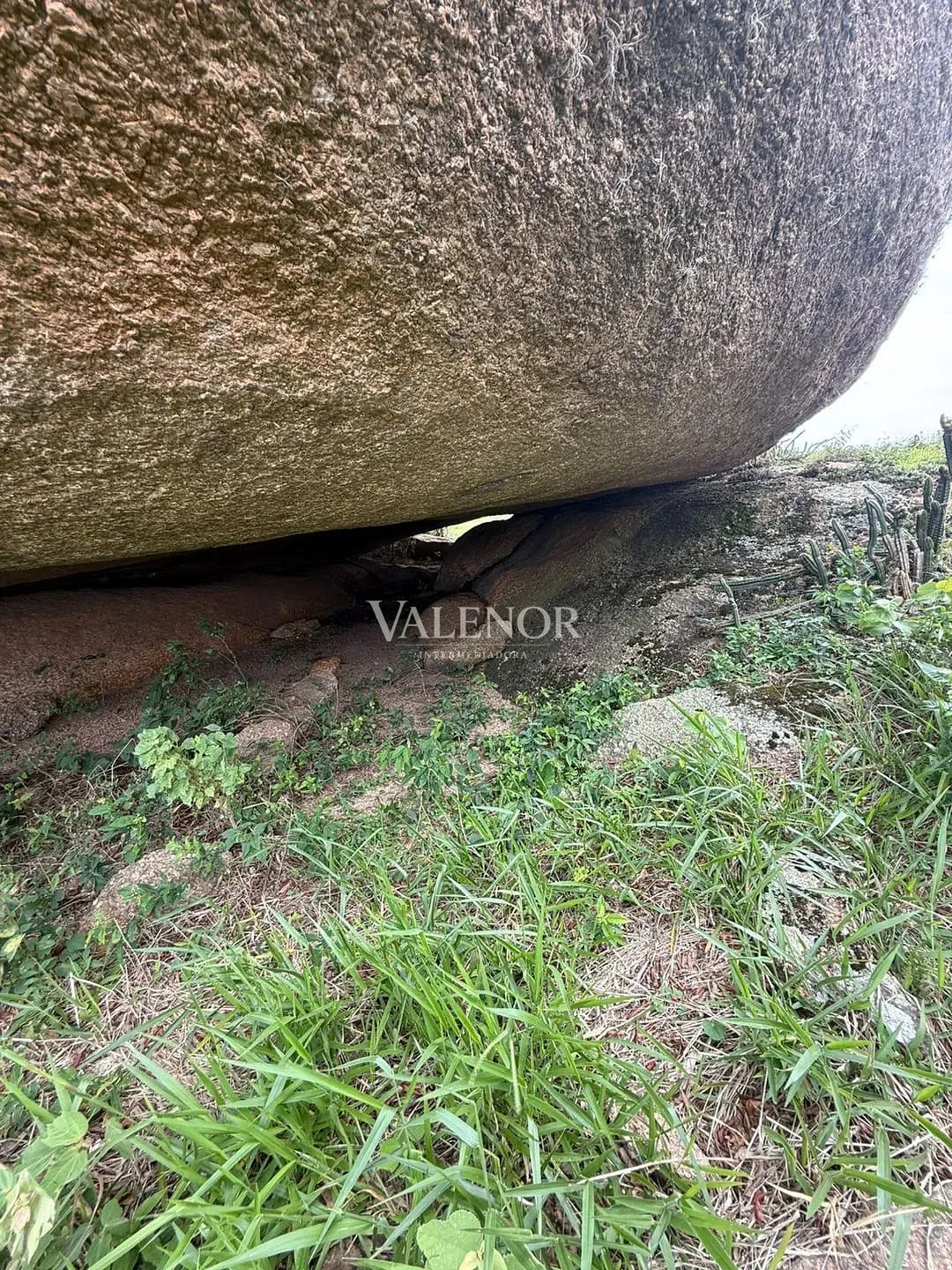 Fazenda, 217 hectares - Foto 28