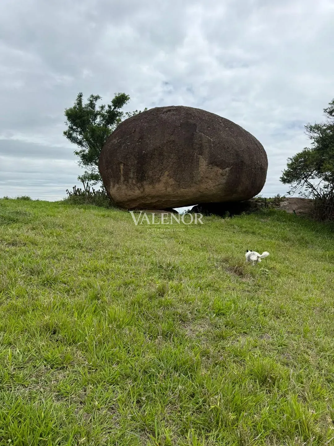 Fazenda, 217 hectares - Foto 29